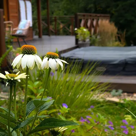 Σπίτι διακοπών Ogrod Weigla Janowice Wielkie